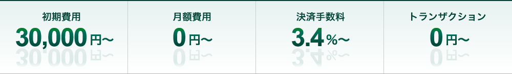 初期費用：30,000円～／月額費用：0円～／決済手数料：3.4%～／トランザクション：0円～